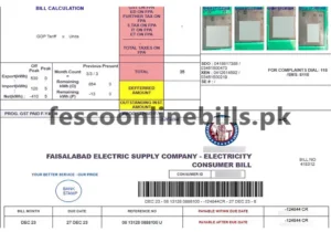 Image displaying a detailed review of your FESCO (Faisalabad Electric Supply Company) bill, providing insights into billing details and facilitating a comprehensive understanding for users.