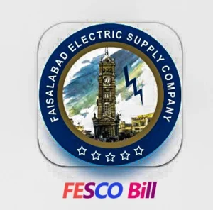 Screenshot of the Fesco online bill app interface, highlighting its user-friendly design and features for efficient energy management and billing.